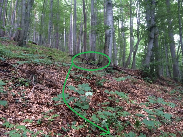 hopper hopper reiter…